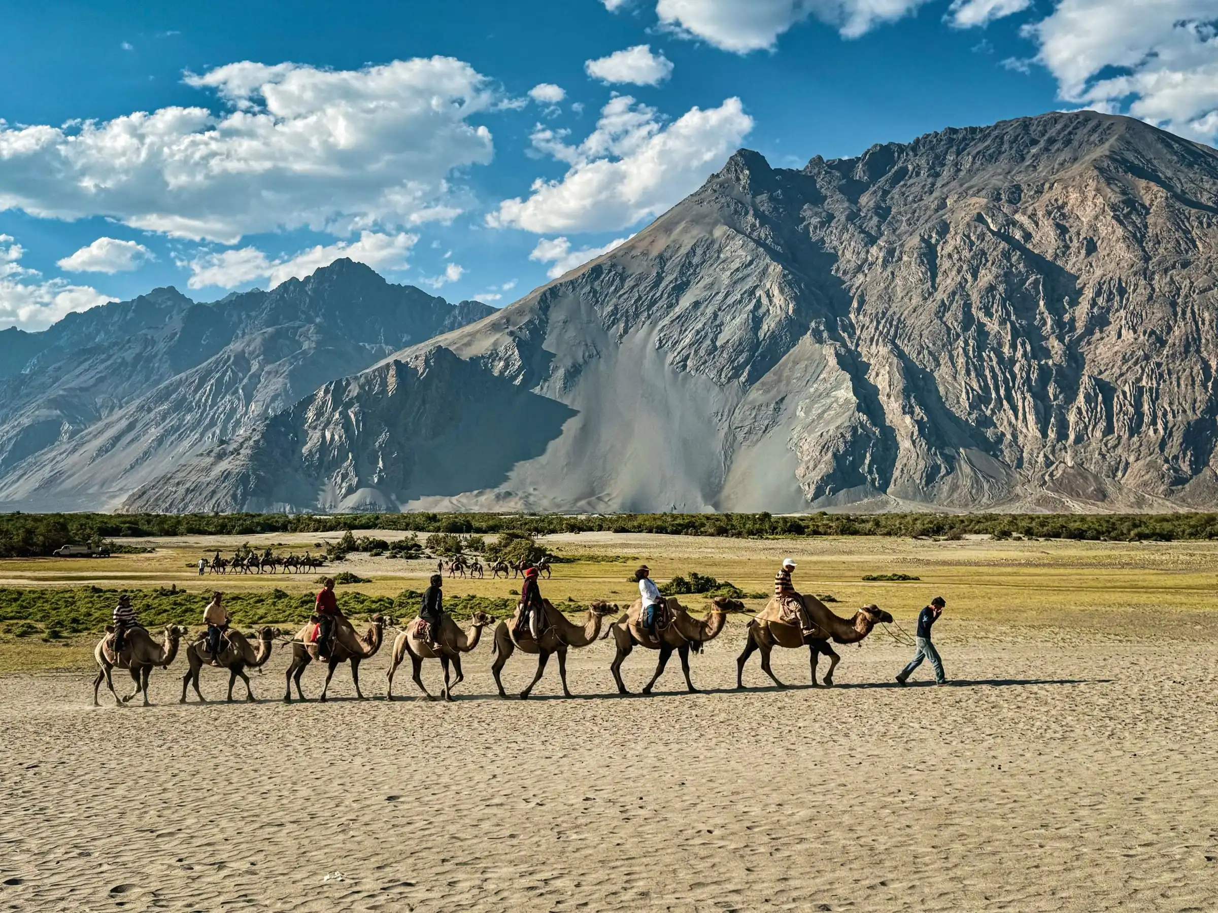 Riders on Bactrian camels crossing the pale Hunder sand dunes below a grey mountain