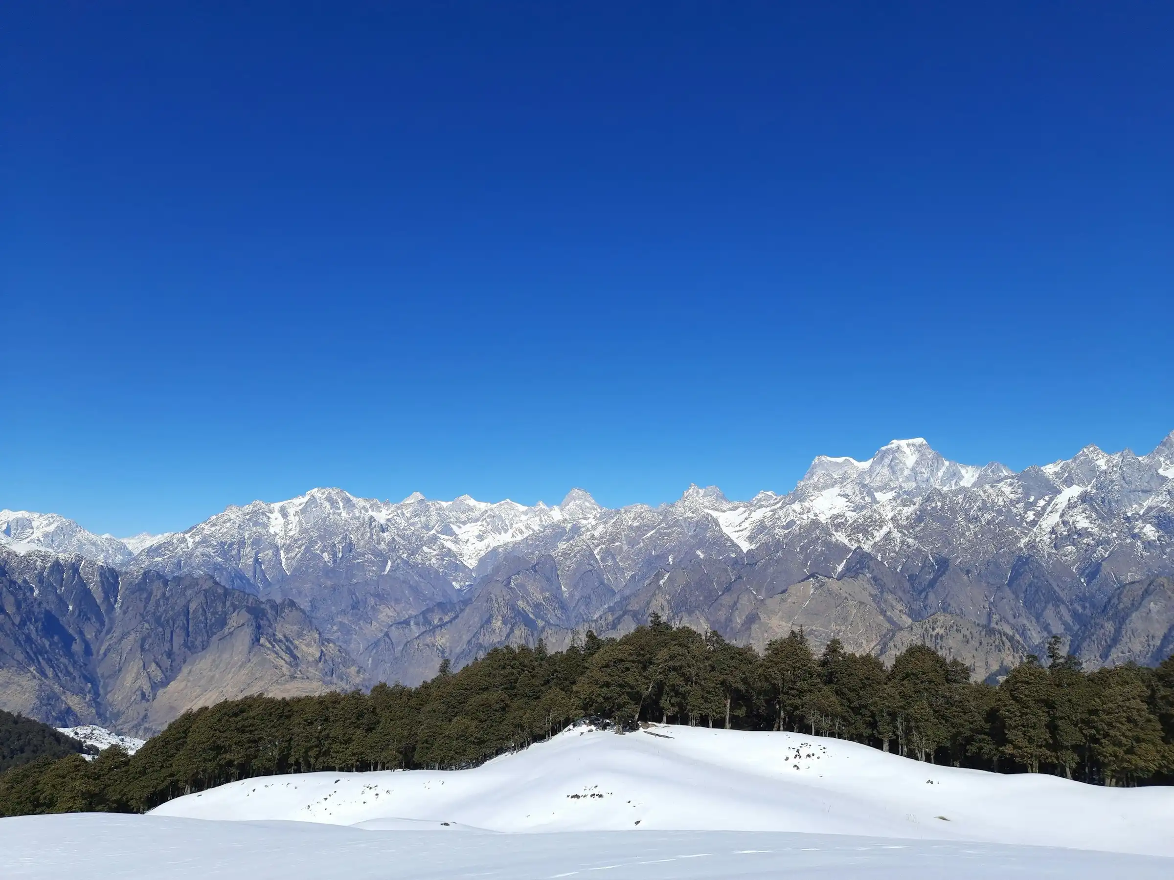 Snow slopes edged with conifers below a line of Garhwal peaks